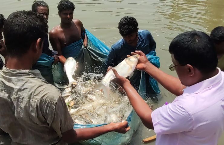Organic fish farming